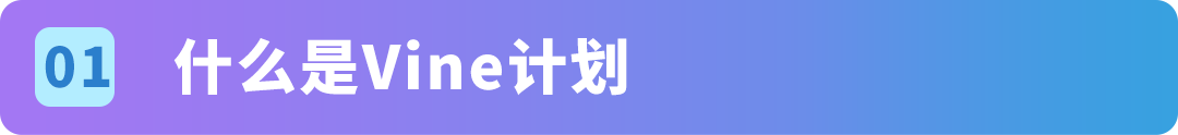 注意!亚马逊Vine计划规则收紧,严禁合并违规变体